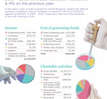 SpinalAnnReview2010-11