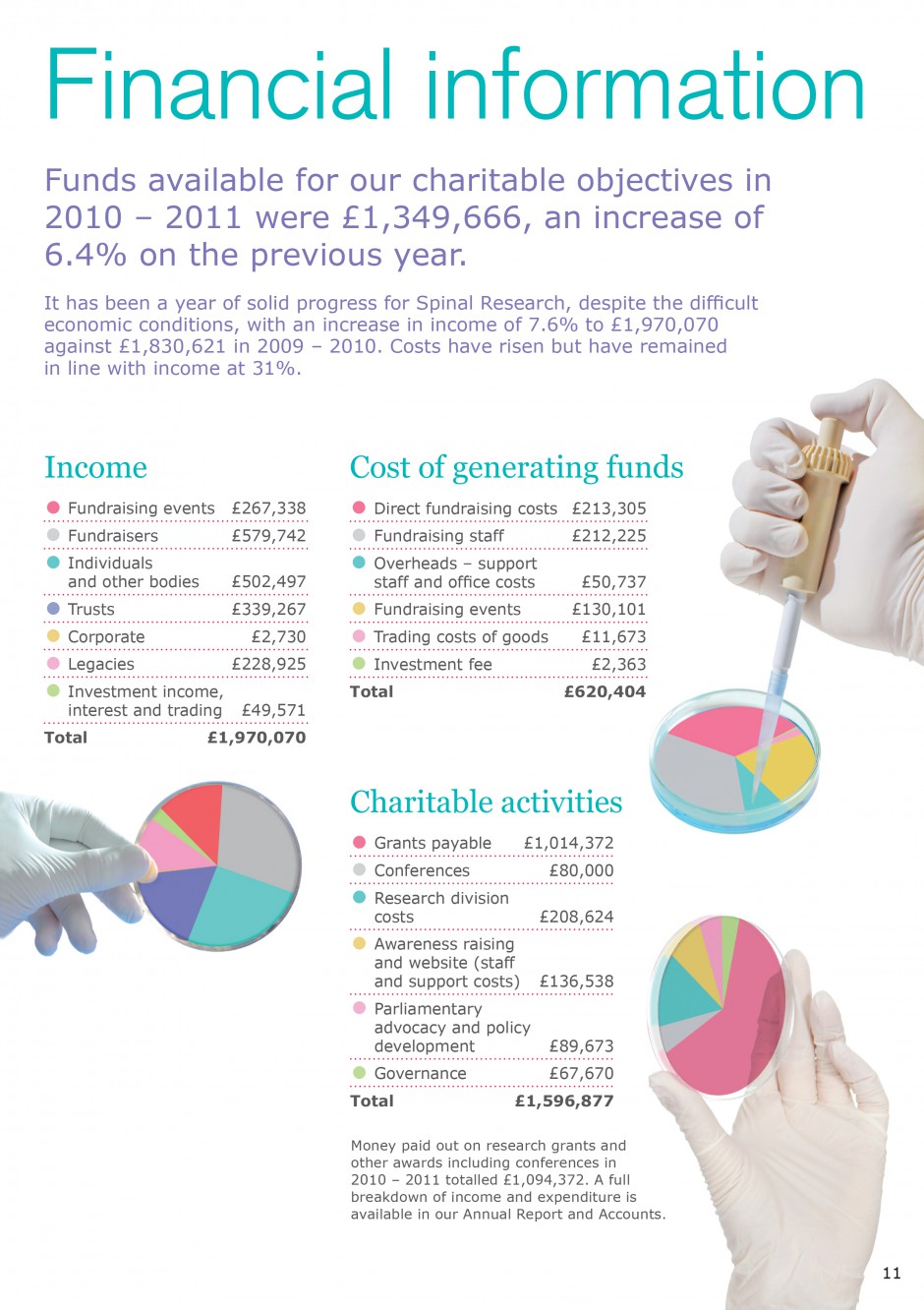 SpinalAnnReview2010-11