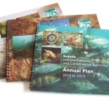 IFCA Annual Plan covers