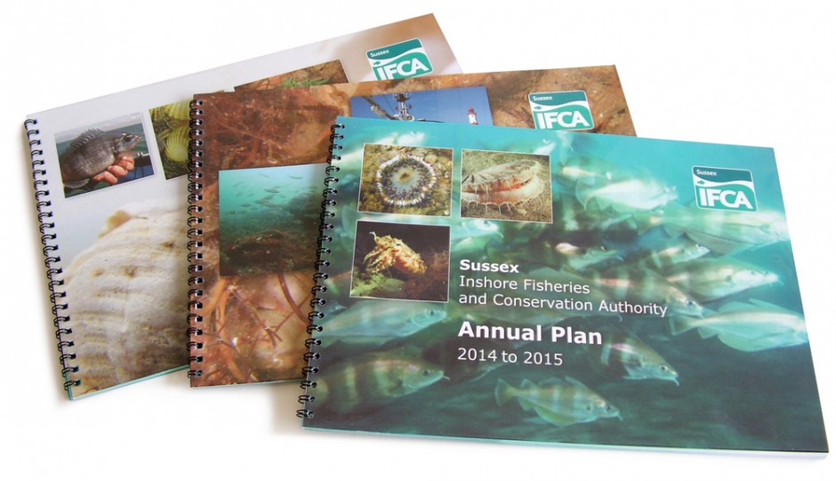 IFCA Annual Plan covers