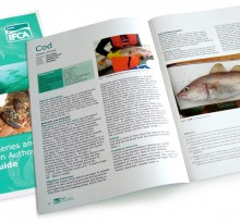 IFCA Species Guide